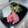 🏵️Necklace with real pink Phalaenopsis orchid flower, preserved in resin, botanical jewelry, floral jewelry📿💞