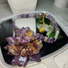 🏵️Real flower beaded necklace, purple Siam Tulip, preserved in resin, botanical jewelry, floral jewelry📿💞